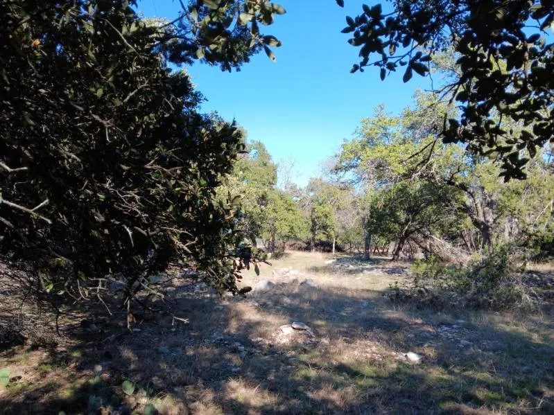 101 Timber Line Road Georgetown, TX 78633