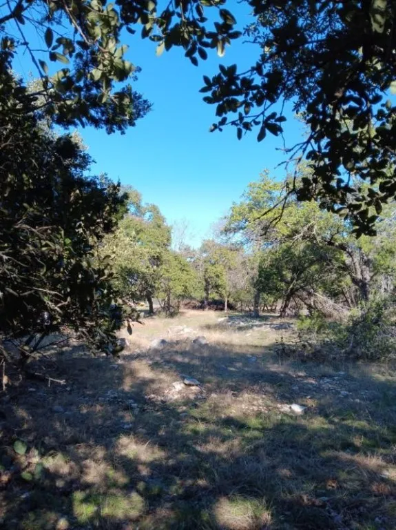 101 Timber Line Road Georgetown, TX 78633
