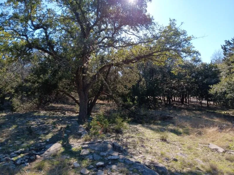 101 Timber Line Road Georgetown, TX 78633