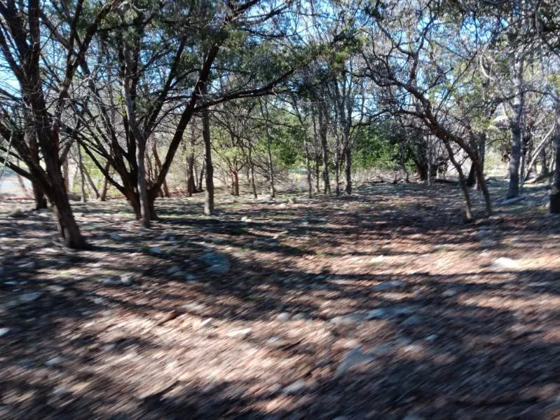101 Timber Line Road Georgetown, TX 78633