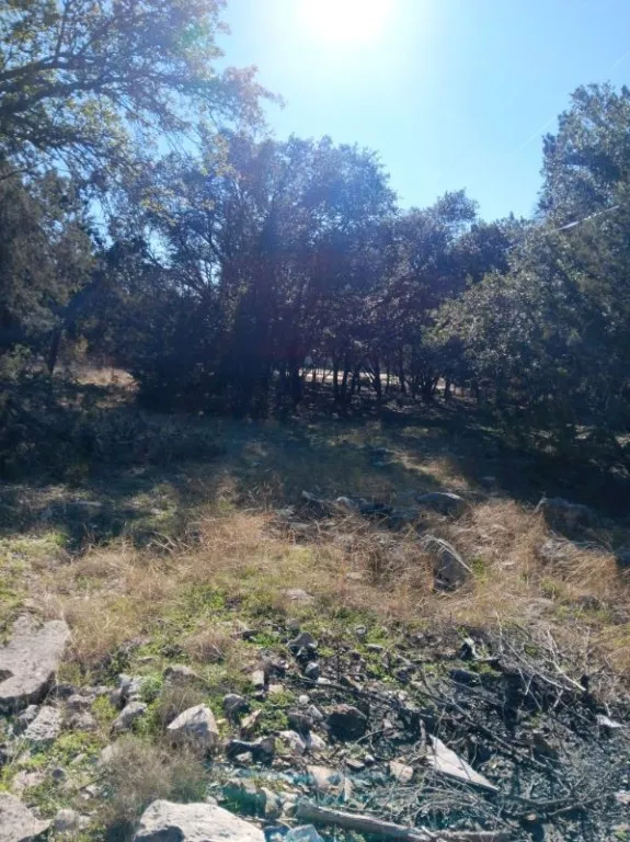 101 Timber Line Road Georgetown, TX 78633