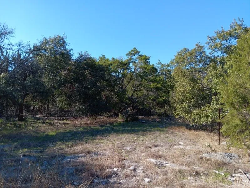 101 Timber Line Road Georgetown, TX 78633