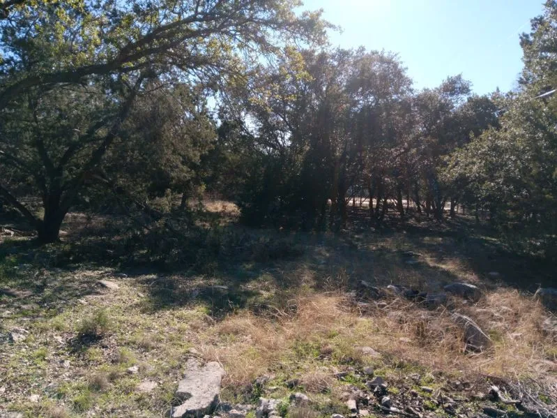 101 Timber Line Road Georgetown, TX 78633