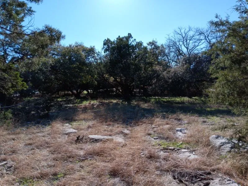 101 Timber Line Road Georgetown, TX 78633