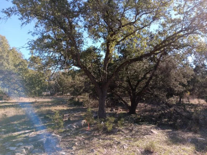 101 Timber Line Road Georgetown, TX 78633