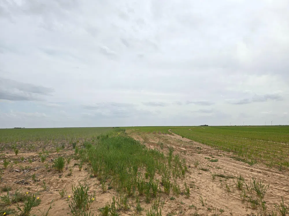 County Road 24 Tahoka, TX 79373