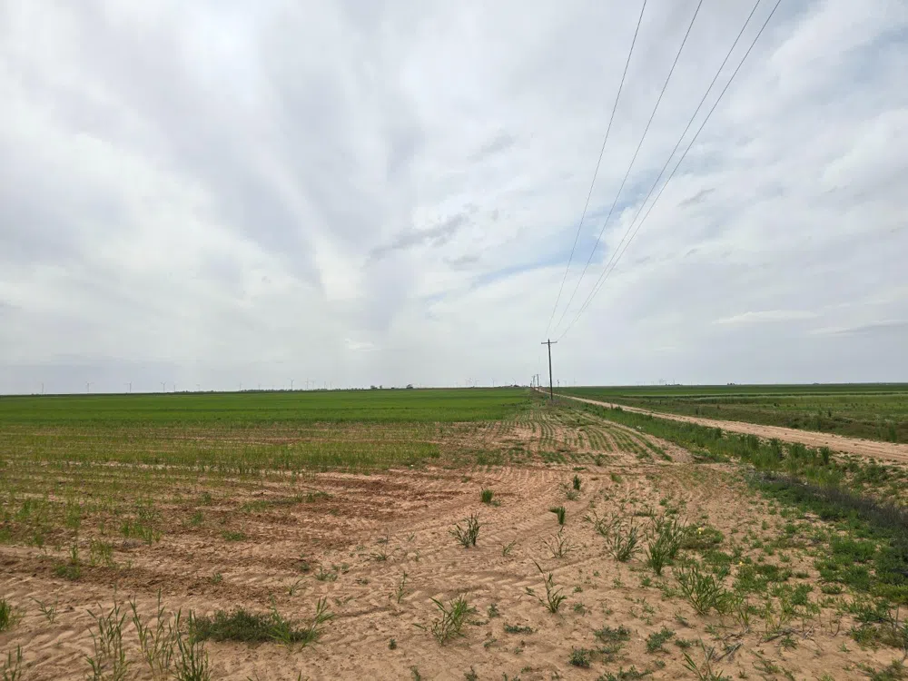 County Road 24 Tahoka, TX 79373