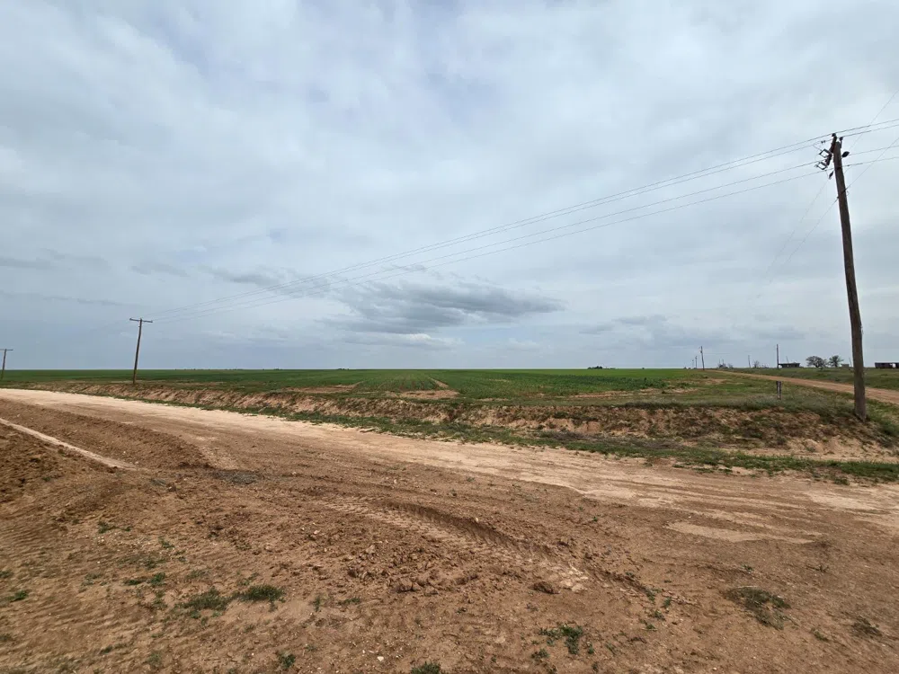 County Road 24 Post, TX 79356