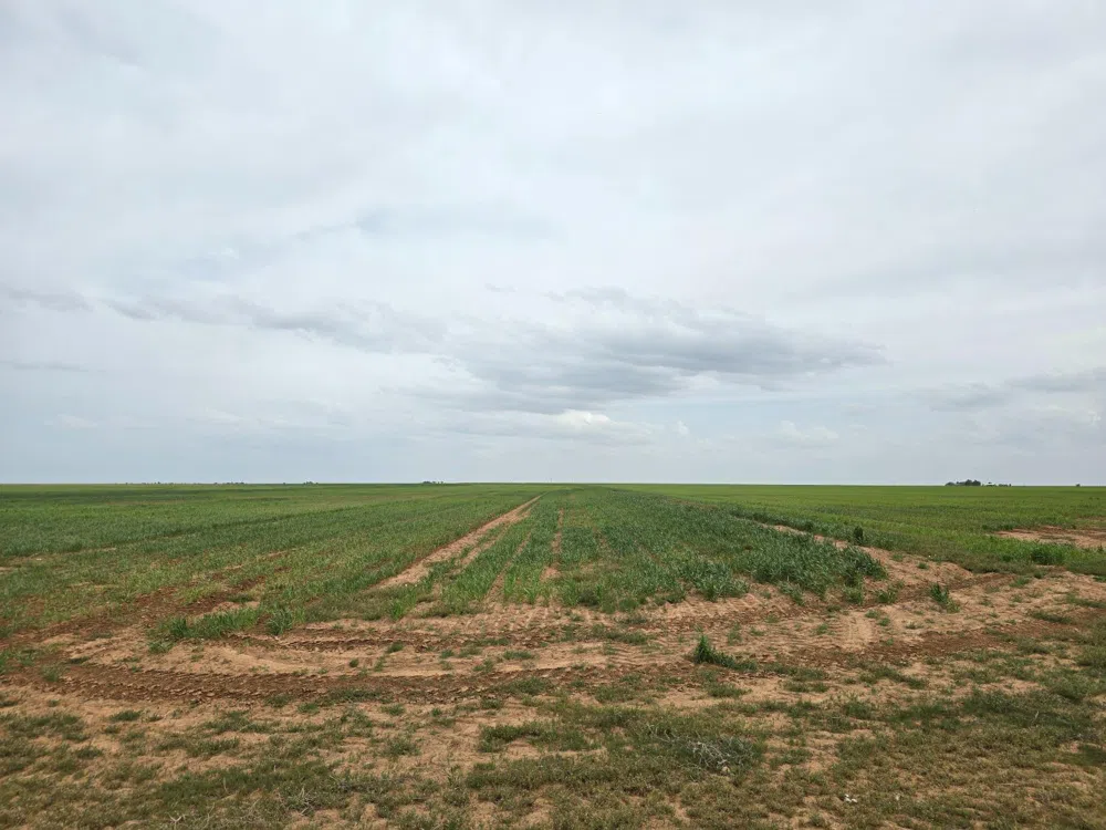 County Road 24 Post, TX 79356