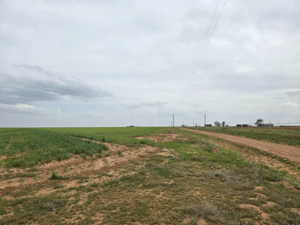 County Road 24 Post, TX 79356
