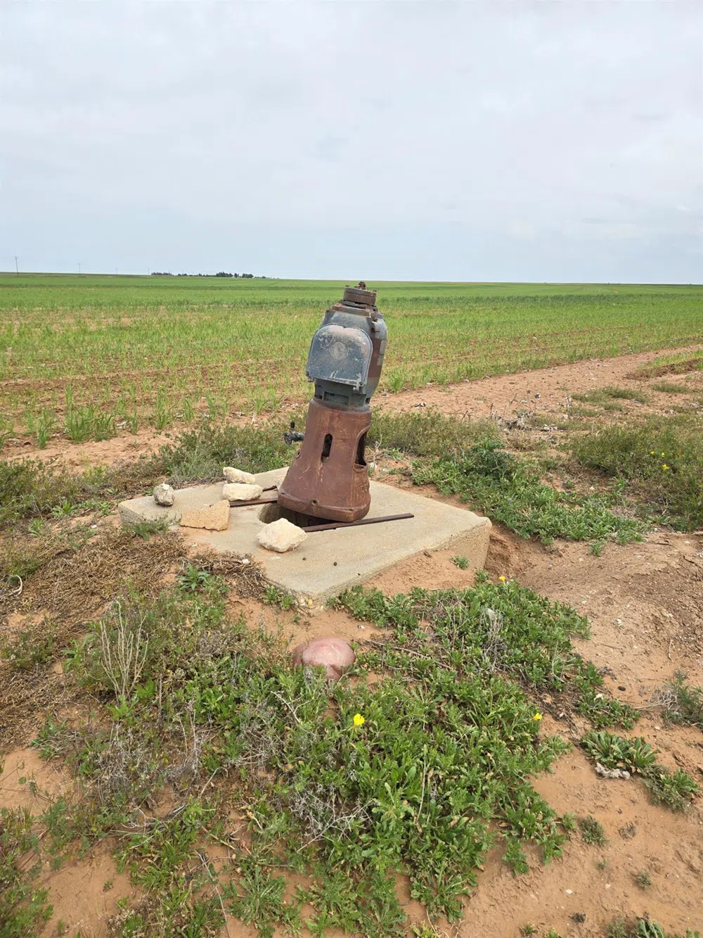 County Road 24 Post, TX 79356