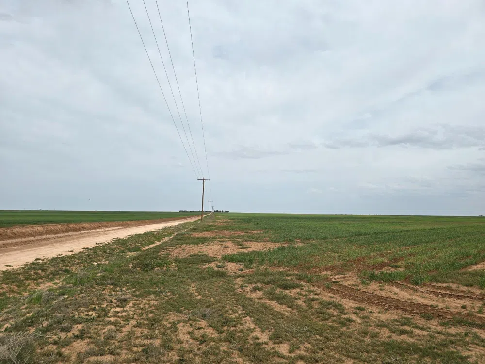 County Road 24 Post, TX 79356