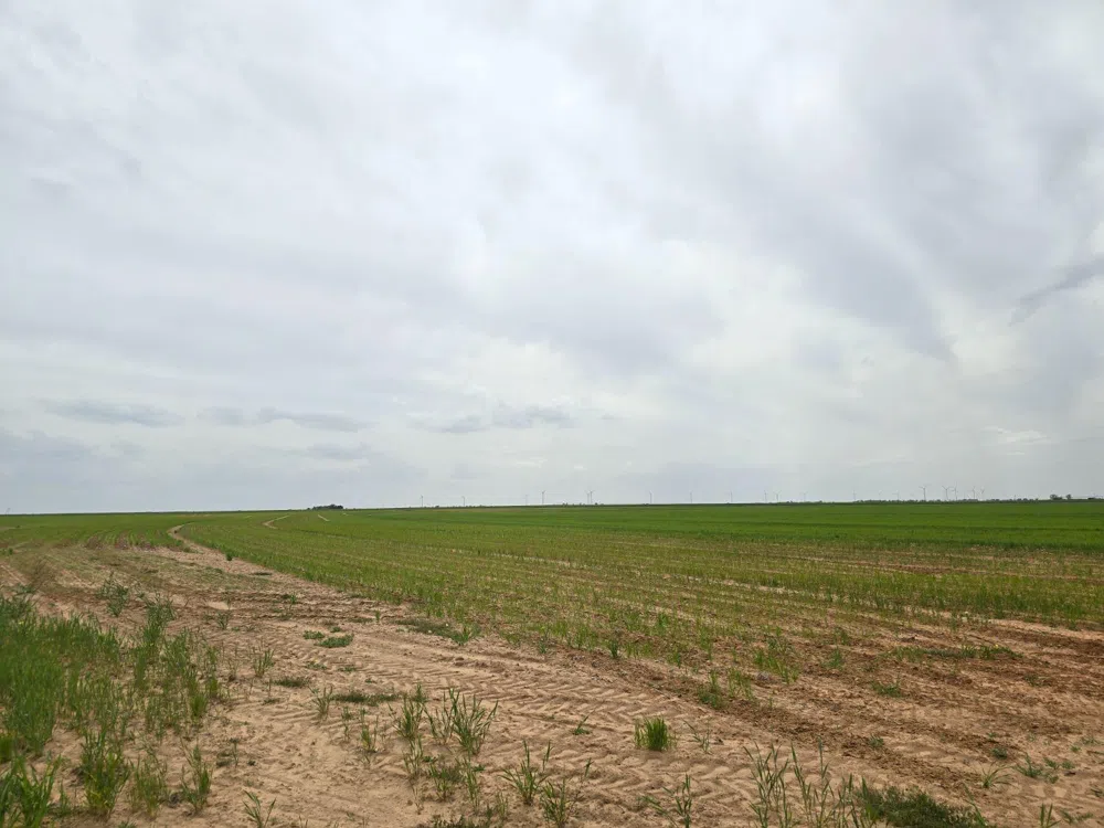 County Road 24 Post, TX 79356