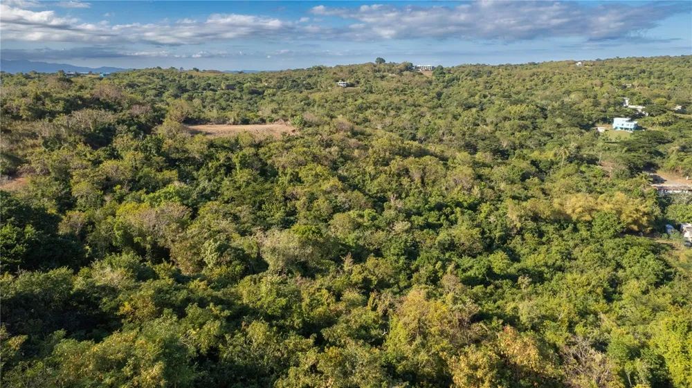 4 PR-995 Vieques, PR 00765