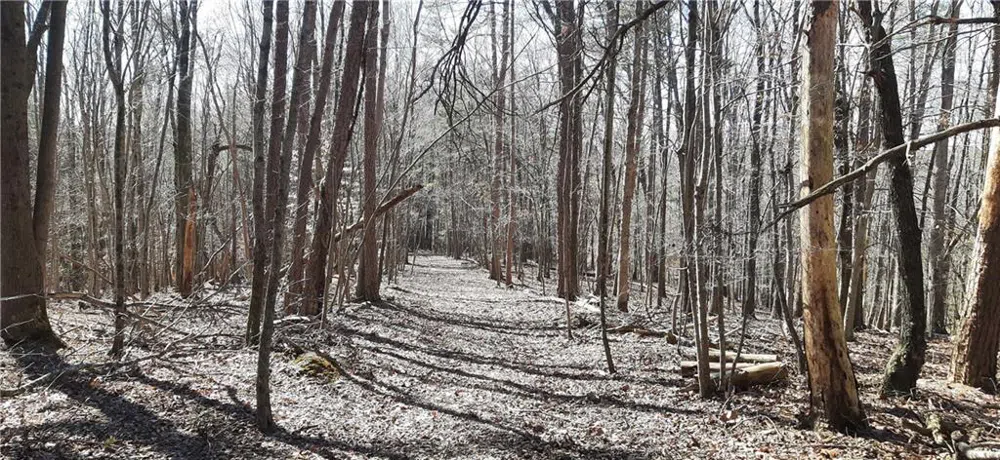11953 Henderson Mountain Road Fairmount, GA 30139