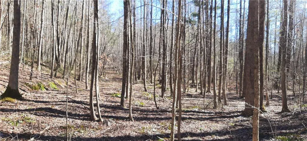 11953 Henderson Mountain Road Fairmount, GA 30139