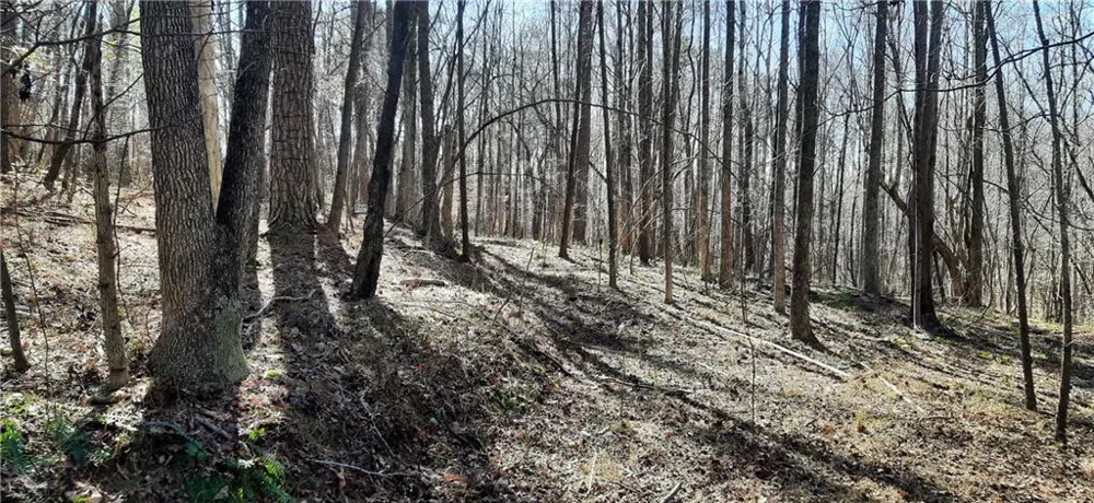 11953 Henderson Mountain Road Fairmount, GA 30139