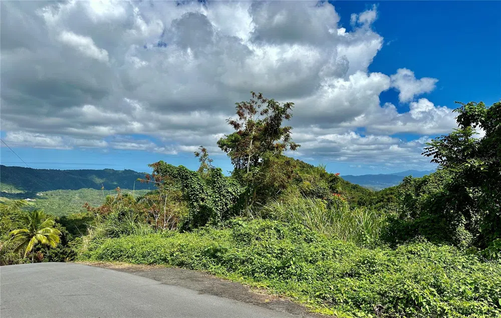 ROAD 785 KM.HM 4 BARRIO CAGUITAS Aguas Buenas, PR 00703