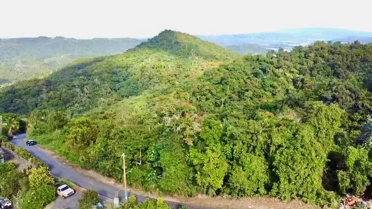ROAD 785 KM.HM 4 BARRIO CAGUITAS Aguas Buenas, PR 00703