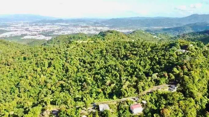 ROAD 785 KM.HM 4 BARRIO CAGUITAS Aguas Buenas, PR 00703