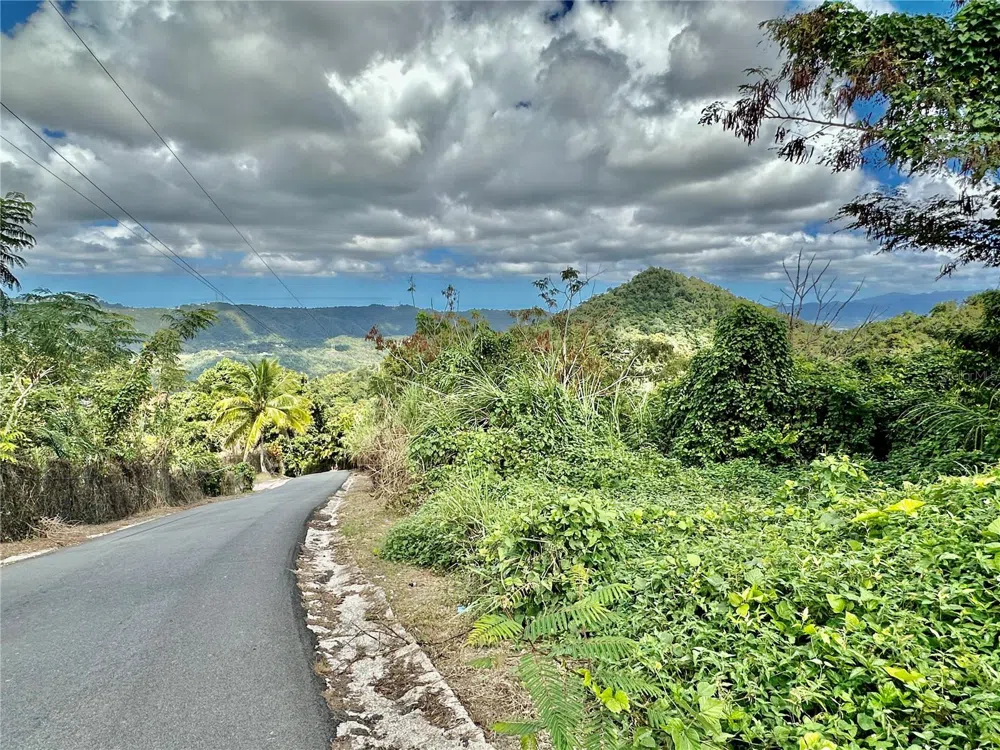 ROAD 785 KM.HM 4 BARRIO CAGUITAS Aguas Buenas, PR 00703