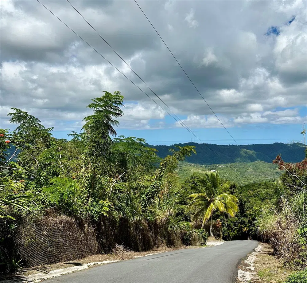 ROAD 785 KM.HM 4 BARRIO CAGUITAS Aguas Buenas, PR 00703