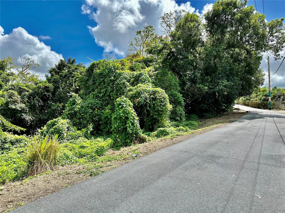 ROAD 785 KM.HM 4 BARRIO CAGUITAS Aguas Buenas, PR 00703