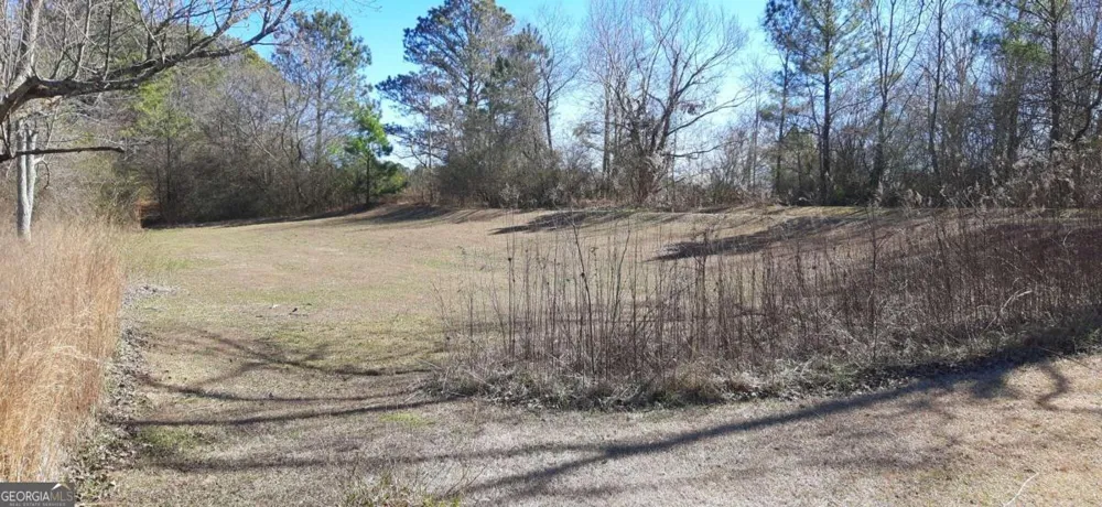 11953 Henderson Mountain RD Fairmount, GA 30139