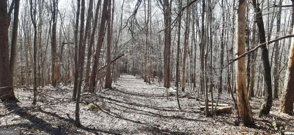 11953 Henderson Mountain RD Fairmount, GA 30139