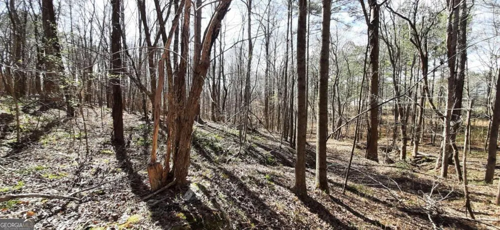 11953 Henderson Mountain RD Fairmount, GA 30139