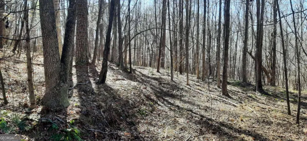 11953 Henderson Mountain RD Fairmount, GA 30139
