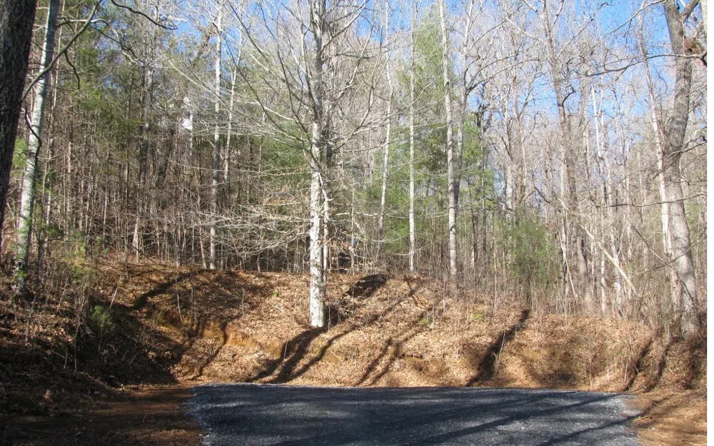 #68 Summerwood Lane Young Harris, GA 30582