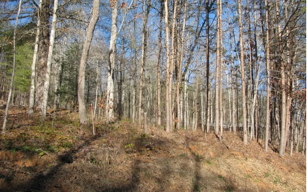 #68 Summerwood Lane Young Harris, GA 30582