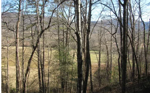 #39 Pinecrest Road