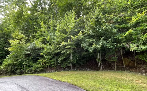Lot 34 Overlook At Yh