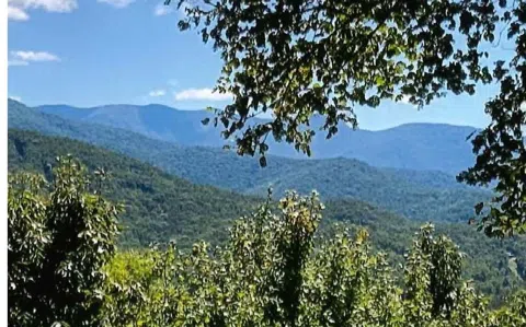 #50 Harris Ridge Road