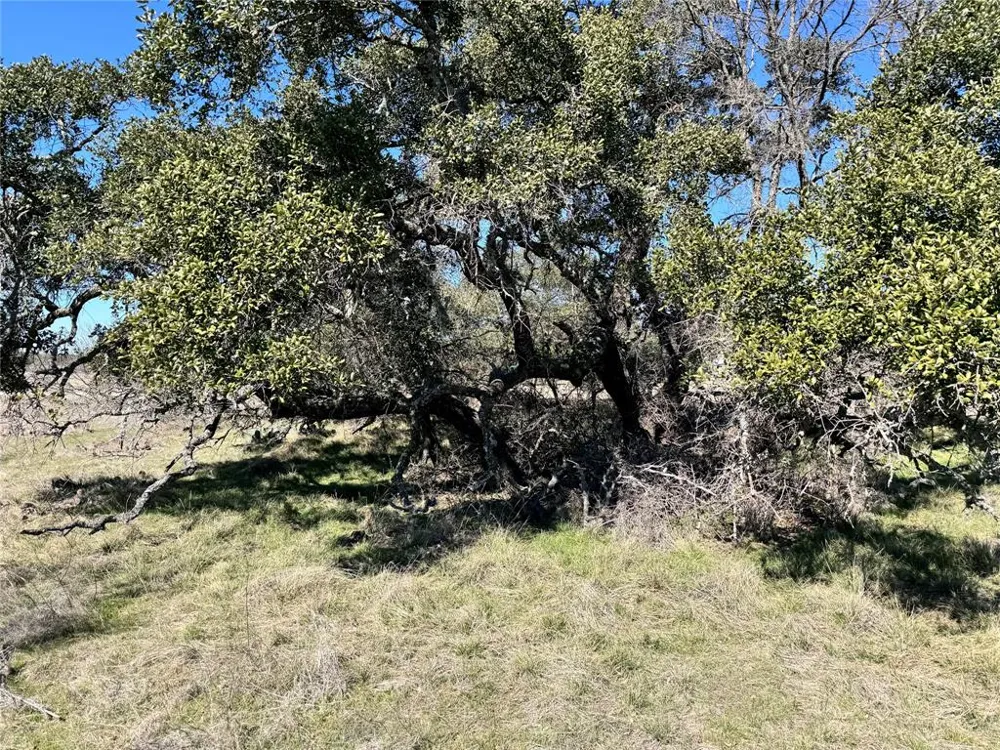 114 Oak Meadow Drive May, TX 76857