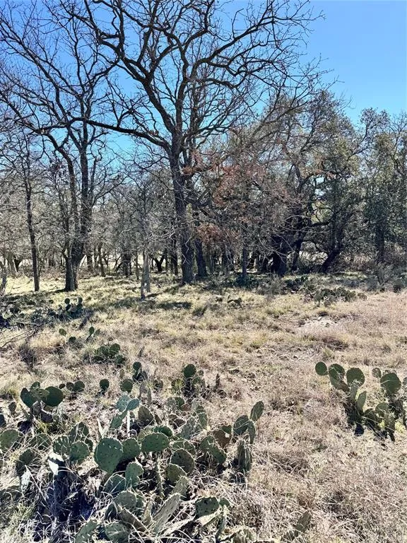 136 Red Oak Drive May, TX 76857