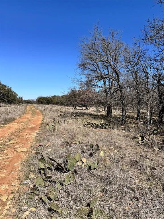 136 Red Oak Drive May, TX 76857