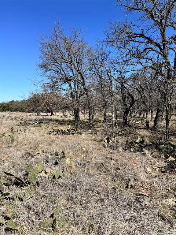 136 Red Oak Drive May, TX 76857
