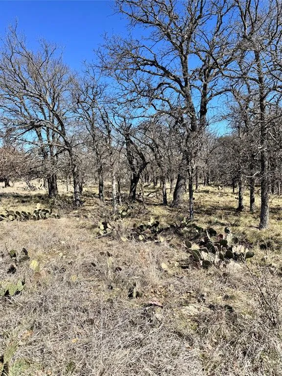 136 Red Oak Drive May, TX 76857