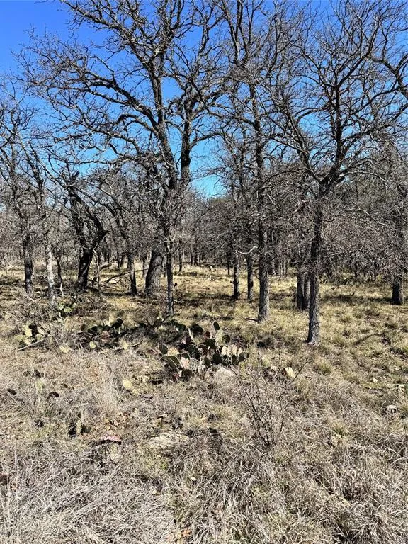 136 Red Oak Drive May, TX 76857