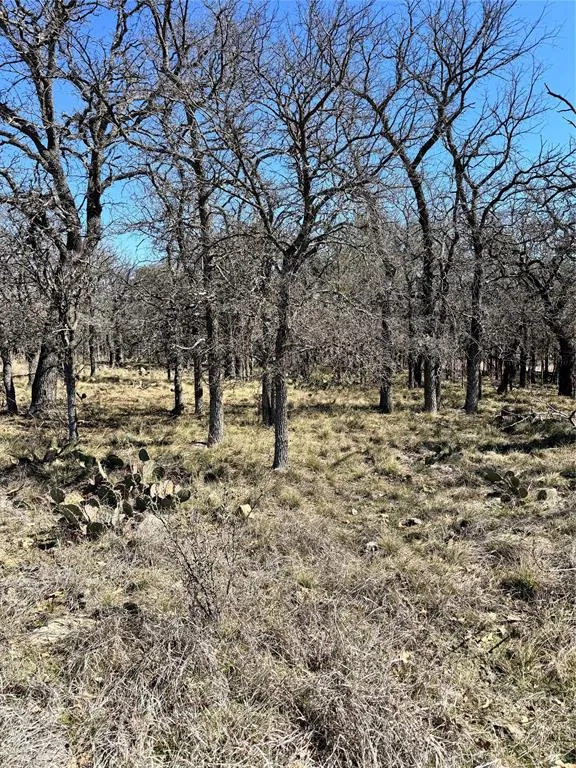 136 Red Oak Drive May, TX 76857