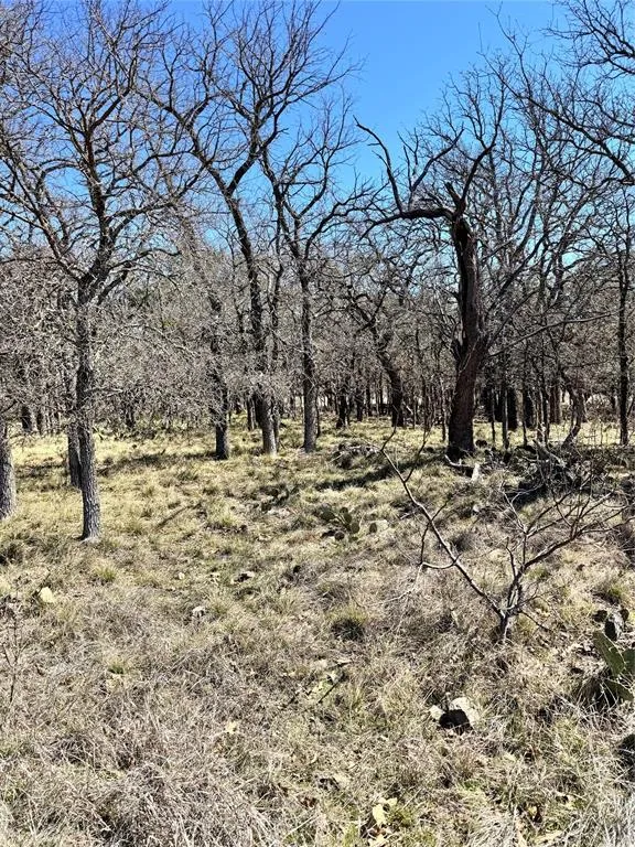 136 Red Oak Drive May, TX 76857