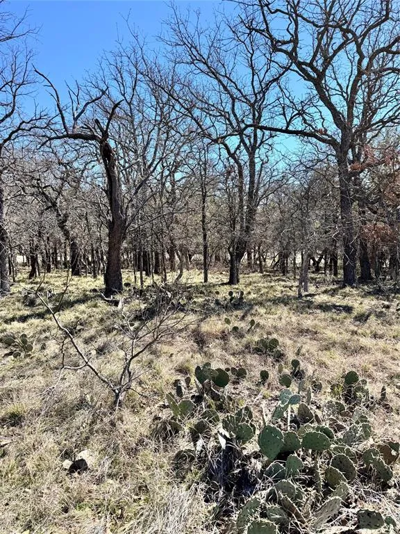 136 Red Oak Drive May, TX 76857