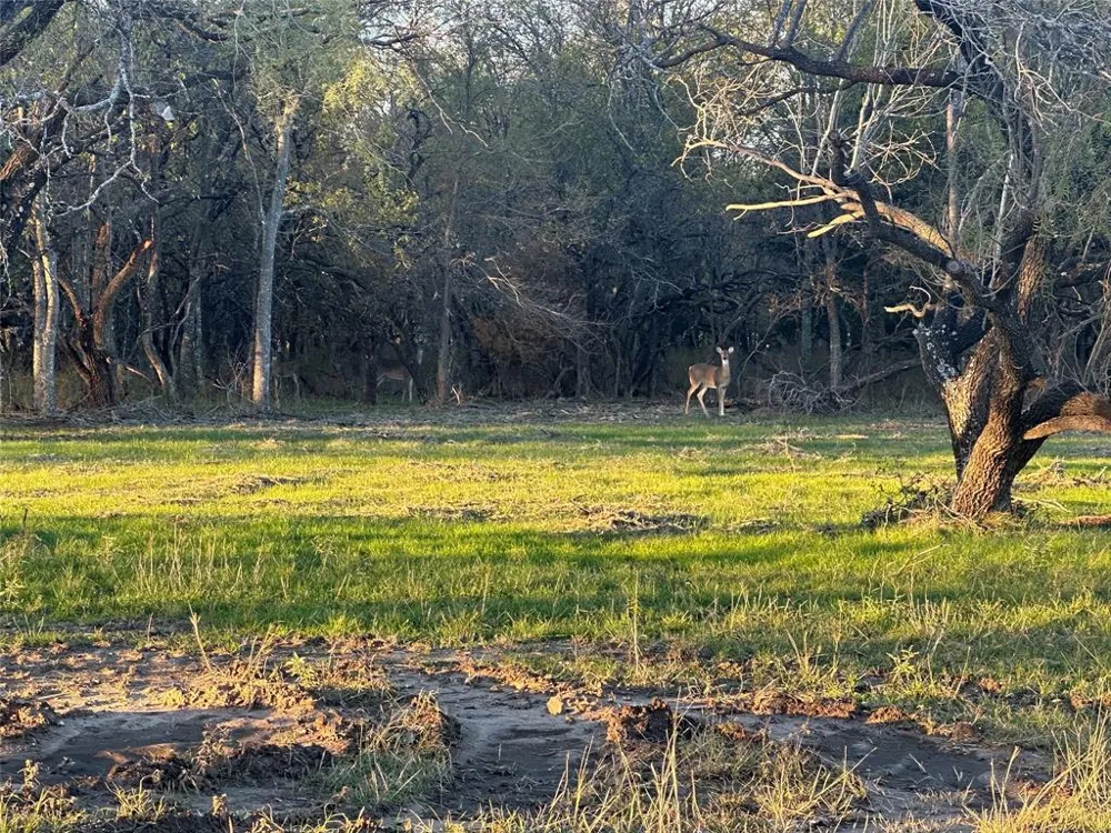 Grison Circle Corsicana, TX 75109