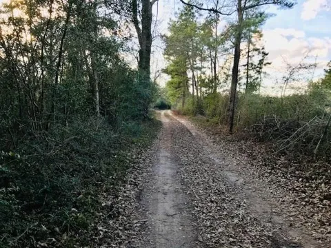 10 Ac Off Of Fm 1309
