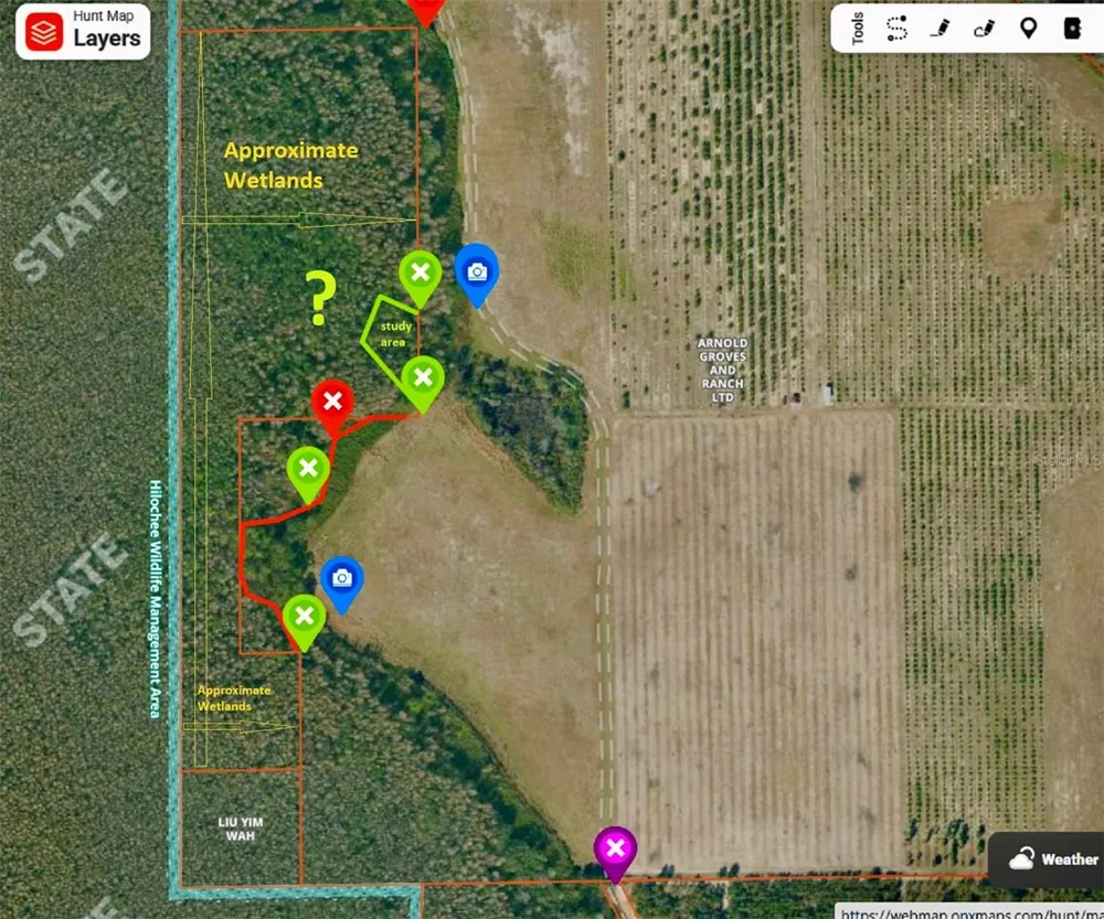 S BOGGY MARSH ROAD Clermont, FL 34711