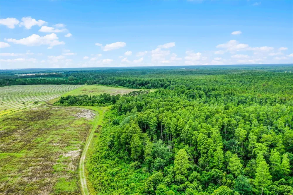 S BOGGY MARSH ROAD Clermont, FL 34711