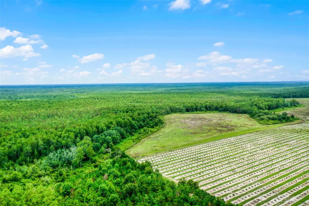 S BOGGY MARSH ROAD Clermont, FL 34711